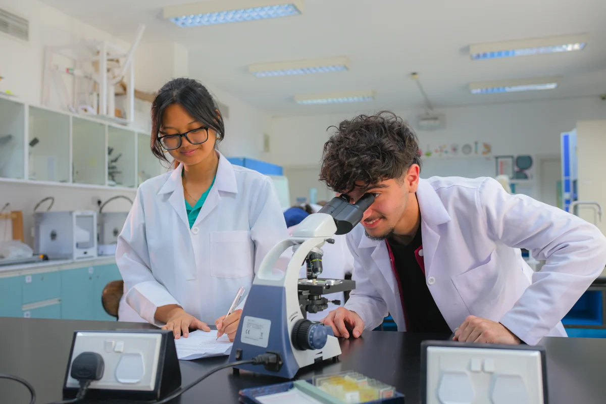 Why apply for an international school scholarship?